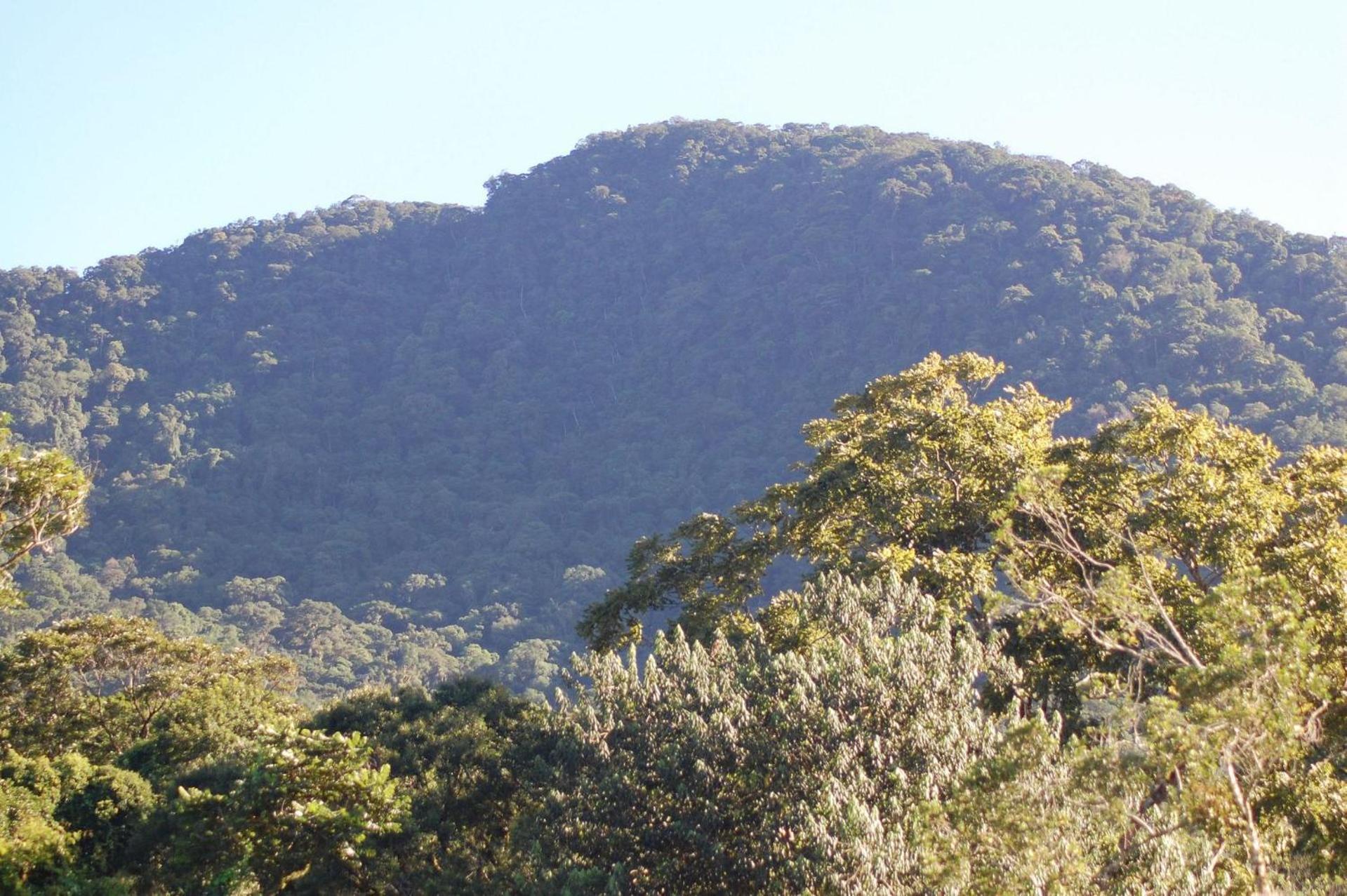 Pousada Toca Da Anita Maresias Sao Sebastiao  Buitenkant foto
