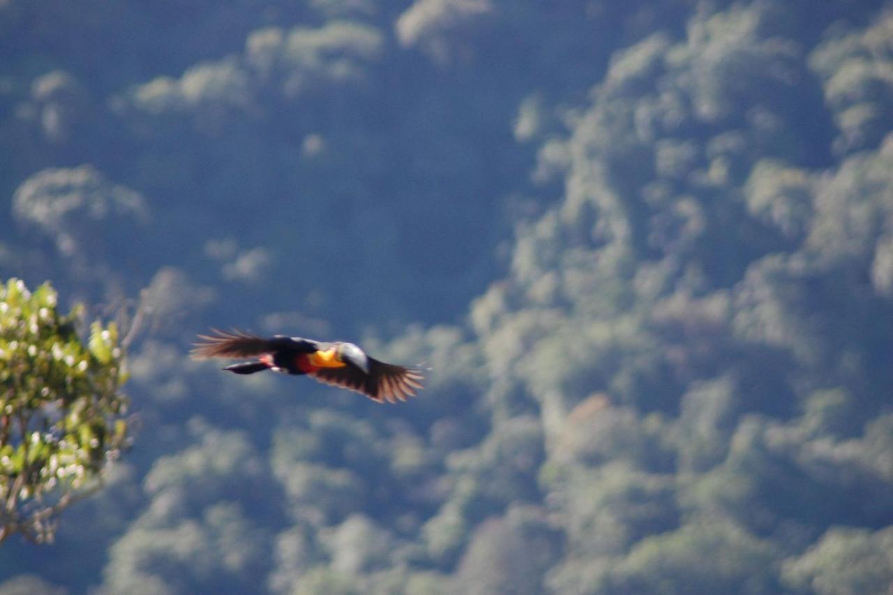 Pousada Toca Da Anita Maresias Sao Sebastiao  Buitenkant foto